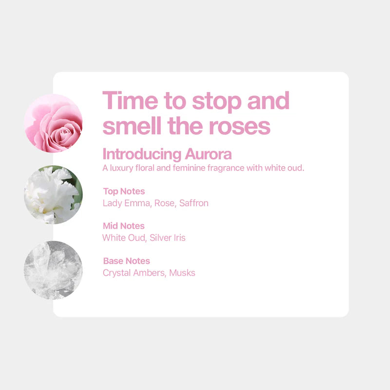 12 Navullingen Aurora