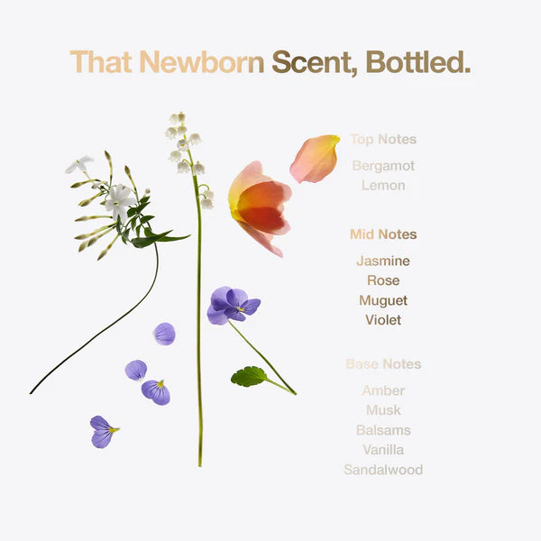 12 Flessen Little Miracle